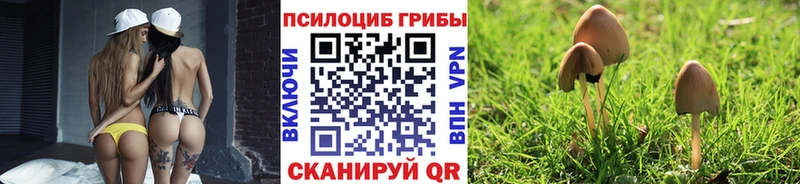 Галлюциногенные грибы GOLDEN TEACHER  MEGA tor  Джанкой 
