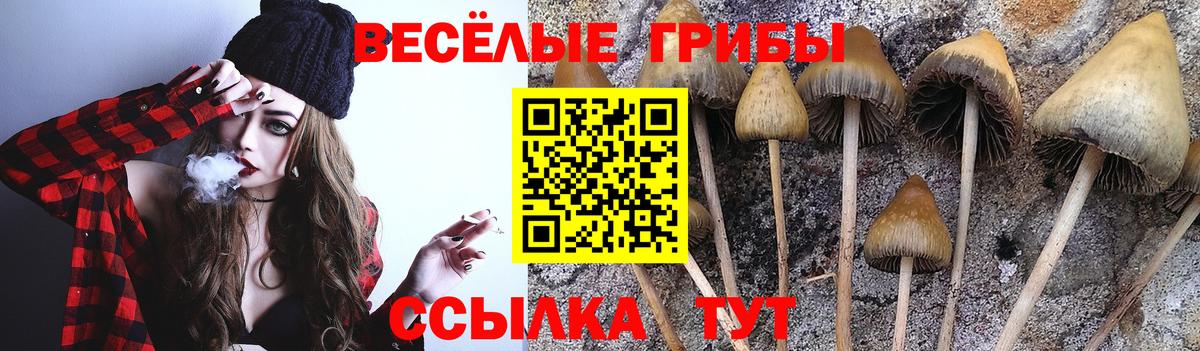 наркошоп  Вход с VPN  Джанкой  Псилоцибиновые грибы Magic Shrooms 